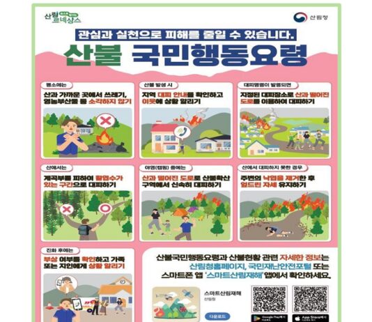 4월 발생 대형산불 43.8%…산불방지 범정부 총력 대응