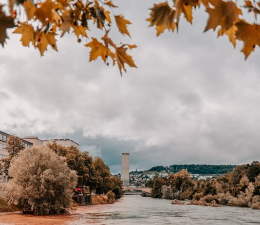 전국 수위관측소 223곳에 AI 홍수예보 도입…“더 빠르고 세밀하게” body of water near trees during daytime