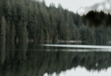 겨울철 다이어트 성공을 위한 심리 관리 woman meditating on rock in bank of lake