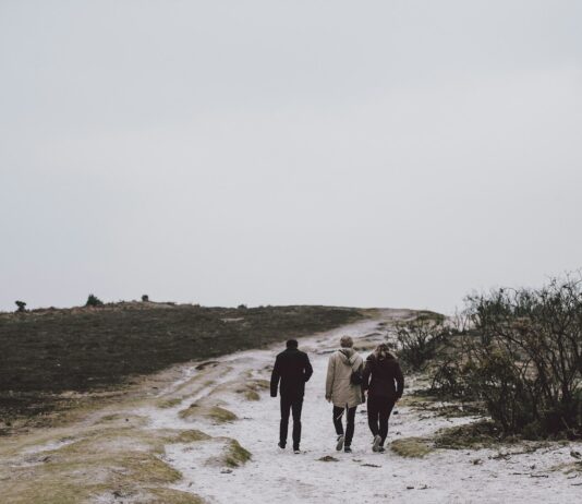 체중 감량의 계절, 운동으로 다이어트 성공 three person walking on snow covered field