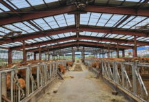 ‘수질오염 방지’…파주시, 축산농가에 가축분뇨 수거운반비 지원