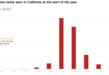 상 변화가 키운 불씨, 선제적 대응이 중요하다!