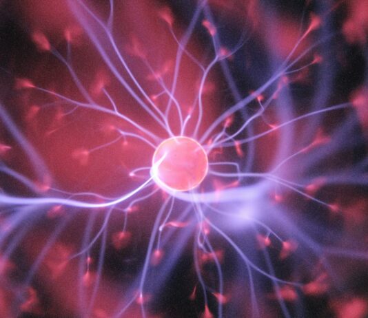 “기억력이 점점 떨어지는 것 같아요”… 단순 깜빡임 아닌 뇌 건강 경고등 purple and pink plasma ball