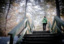 골다공증 예방, 뼈 건강을 지키는 생활습관과 식습관 a woman walking up a set of stairs in the woods