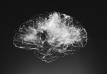 뇌건강 지키는 습관, 일상 속 작은 변화가 큰 차이를 만든다 a black and white photo of a brain