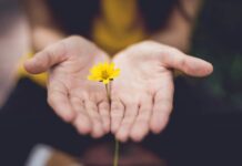 현대인의 건강을 위한 ‘마음 챙기기’ 루틴, 일상 속 작은 변화로 시작하세요 selective focus photography of woman holding yellow petaled flowers