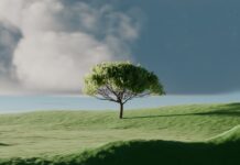 “마음 챙김 명상, 바쁜 일상 속 새로운 건강 트렌드로 떠오르다” A single tree on a vibrant green rolling hill.