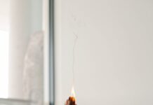 늘어나는 대체요법 관심…생활 속 건강 관리법으로 자리 잡나 person holding orange flower in front of white wall