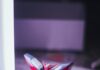 집에서 쉽게 실천하는 ‘마음 건강 챙기기’ 생활 습관 a close up of a toy airplane on a table