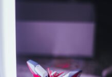 집에서 쉽게 실천하는 ‘마음 건강 챙기기’ 생활 습관 a close up of a toy airplane on a table